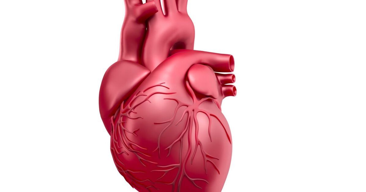 Les maladies cardiaques réduisent la puissance